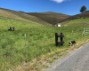 Cactus Lane, Lewiston, Idaho 83501, ,Residential,For Sale,Cactus Lane,281742