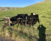 Cactus Lane, Lewiston, Idaho 83501, ,Residential,For Sale,Cactus Lane,281742