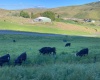 Cactus Lane, Lewiston, Idaho 83501, ,Residential,For Sale,Cactus Lane,281742