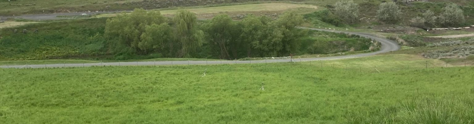 Cactus Lane, Lewiston, Idaho 83501, ,Residential,For Sale,Cactus Lane,281742