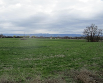 Bunchgrass Lane, Walla Walla, Washington 99362, ,Residential,For Sale,Bunchgrass Lane,281789