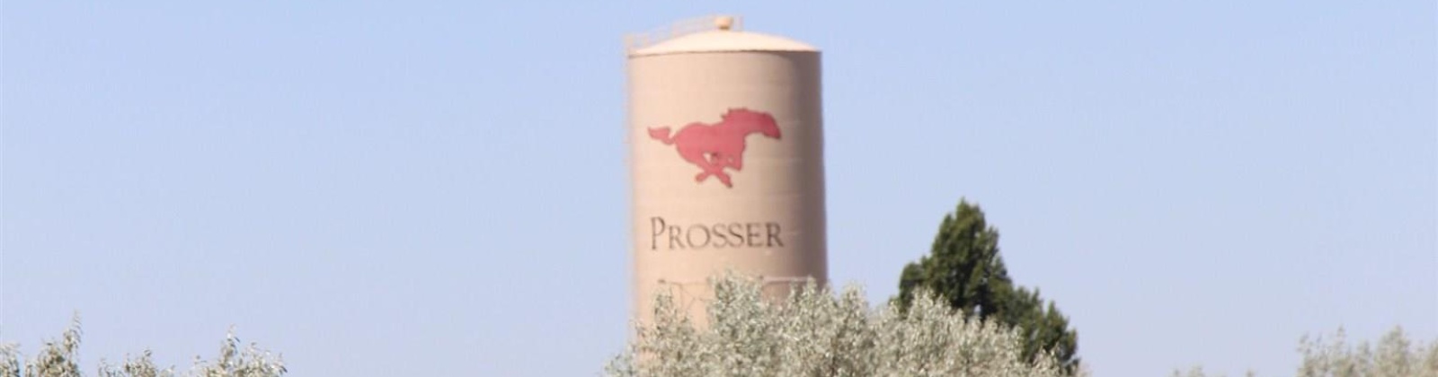 Wine Country Rd, Prosser, Washington 99350, ,Commercial,For Sale,Wine Country Rd,281841
