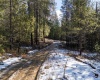 H Jepsen Road, Other, Washington 99173, ,Other,For Sale,H Jepsen Road,282025