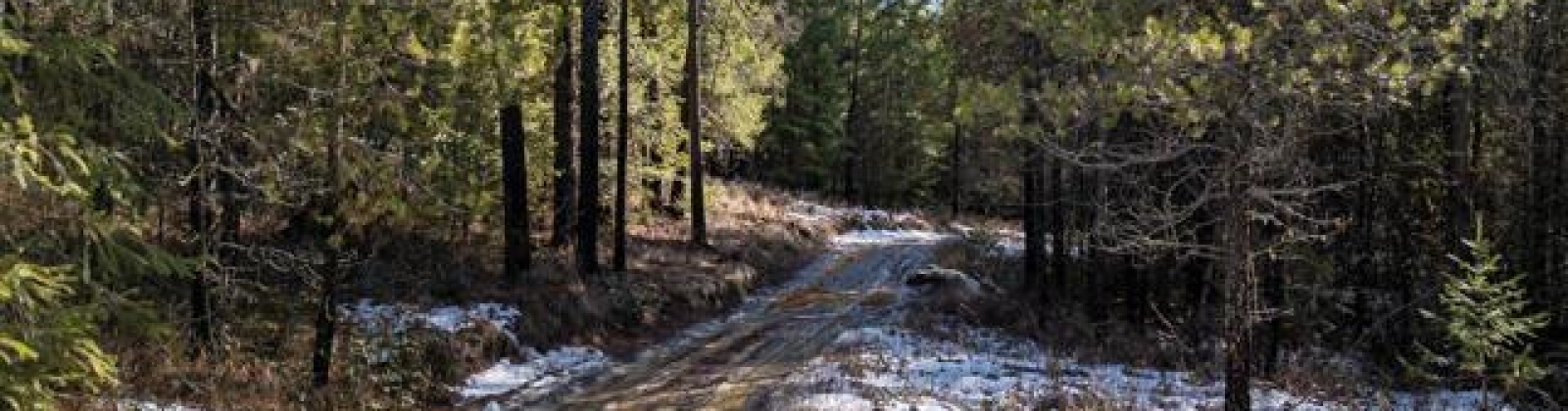 H Jepsen Road, Other, Washington 99173, ,Other,For Sale,H Jepsen Road,282025