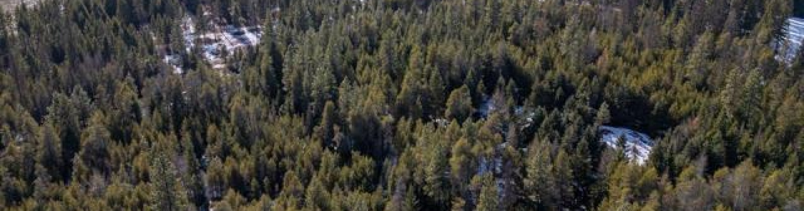 H Jepsen Road, Other, Washington 99173, ,Other,For Sale,H Jepsen Road,282025
