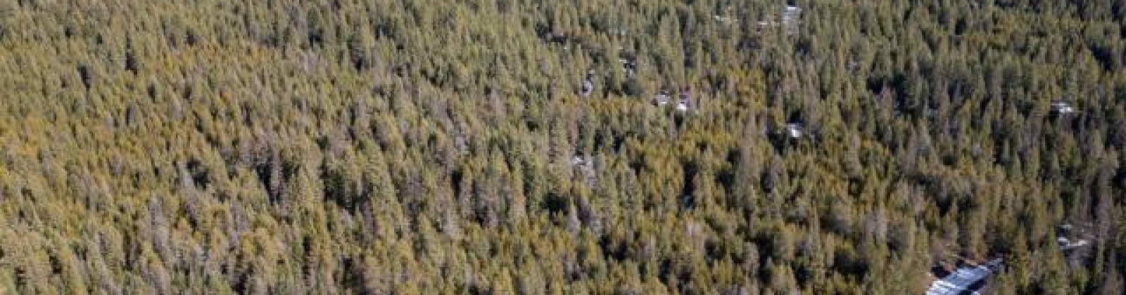 H Jepsen Road, Other, Washington 99173, ,Other,For Sale,H Jepsen Road,282025