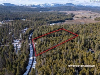 H Jepsen Road, Other, Washington 99173, ,Other,For Sale,H Jepsen Road,282025