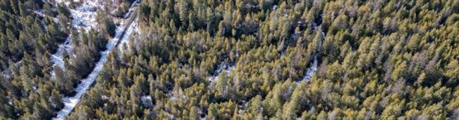 H Jepsen Road, Other, Washington 99173, ,Other,For Sale,H Jepsen Road,282025