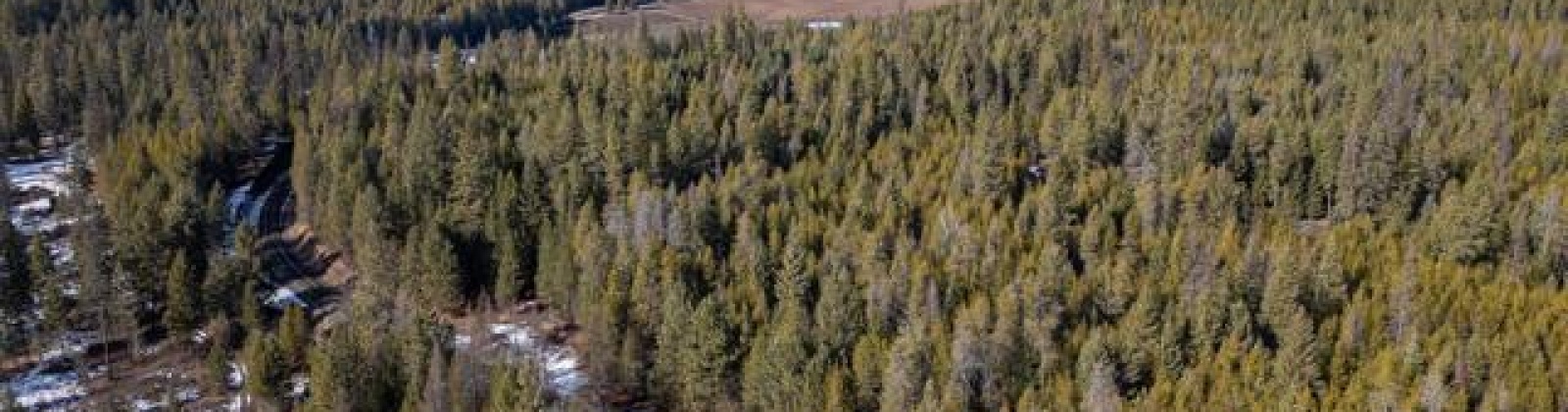 H Jepsen Road, Other, Washington 99173, ,Other,For Sale,H Jepsen Road,282025