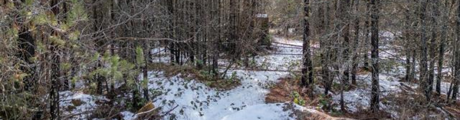 H Jepsen Road, Other, Washington 99173, ,Other,For Sale,H Jepsen Road,282025