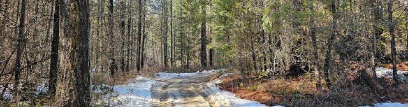 H Jepsen Road, Other, Washington 99173, ,Other,For Sale,H Jepsen Road,282025