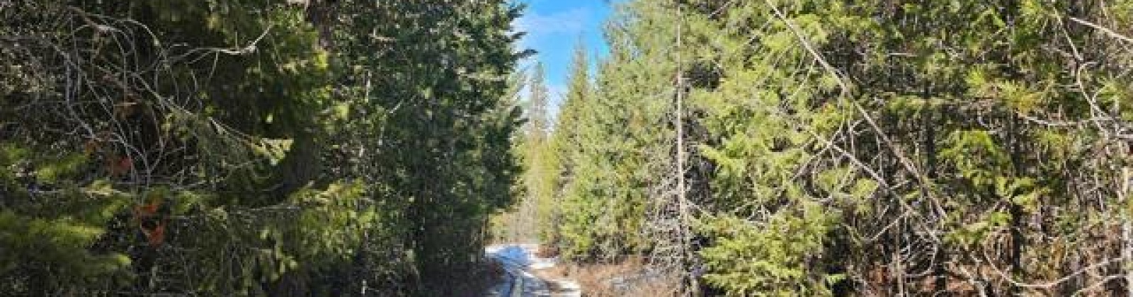 H Jepsen Road, Other, Washington 99173, ,Other,For Sale,H Jepsen Road,282025