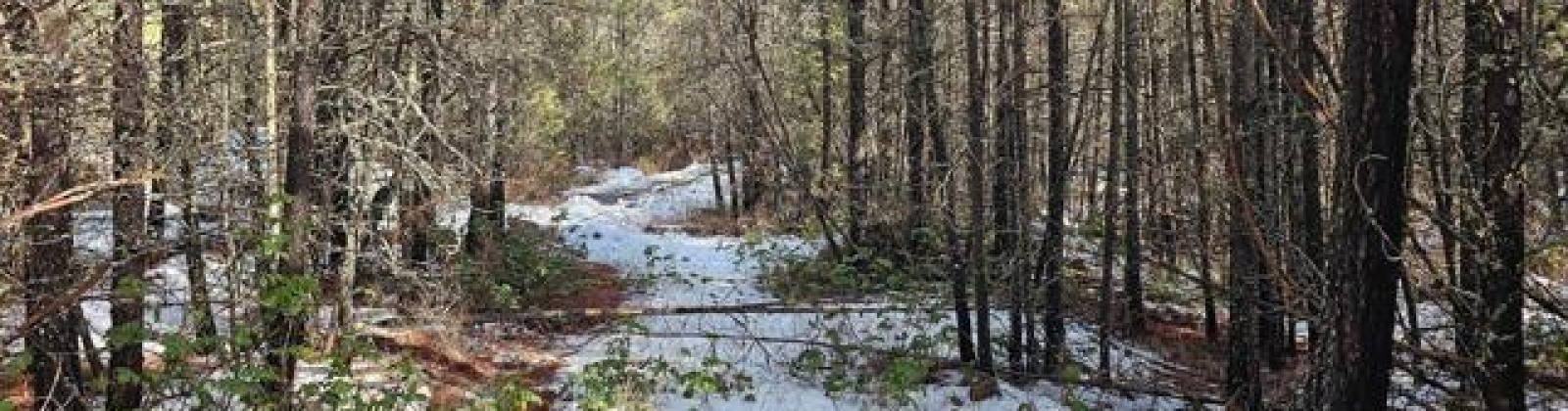 H Jepsen Road, Other, Washington 99173, ,Other,For Sale,H Jepsen Road,282025