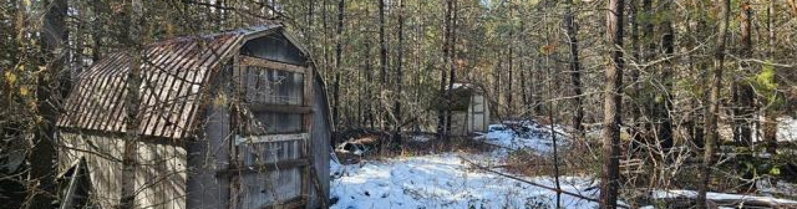 H Jepsen Road, Other, Washington 99173, ,Other,For Sale,H Jepsen Road,282025