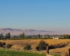 Rothrock Road, Prosser, Washington 99350, 3 Bedrooms Bedrooms, ,2 BathroomsBathrooms,For Sale,Rothrock Road,283217