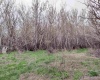 Jones RD, Richland, Washington 99354, ,Agricultural,For Sale,Jones RD,282079