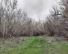 Jones RD, Richland, Washington 99354, ,Agricultural,For Sale,Jones RD,282079