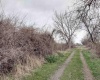 Jones RD, Richland, Washington 99354, ,Agricultural,For Sale,Jones RD,282079