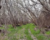 Jones RD, Richland, Washington 99354, ,Agricultural,For Sale,Jones RD,282079