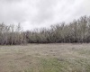 Jones RD, Richland, Washington 99354, ,Agricultural,For Sale,Jones RD,282079