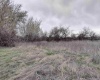 Jones RD, Richland, Washington 99354, ,Agricultural,For Sale,Jones RD,282079