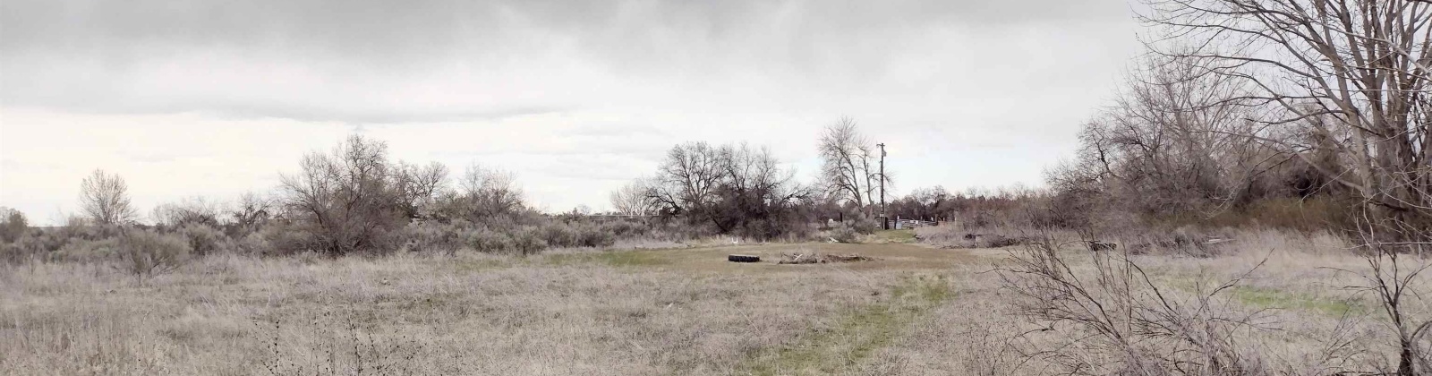Jones RD, Richland, Washington 99354, ,Agricultural,For Sale,Jones RD,282079