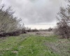 Jones RD, Richland, Washington 99354, ,Agricultural,For Sale,Jones RD,282079
