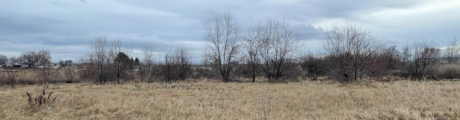 Bunn Road, Prosser, Washington 99350, ,Residential,For Sale,Bunn Road,282307
