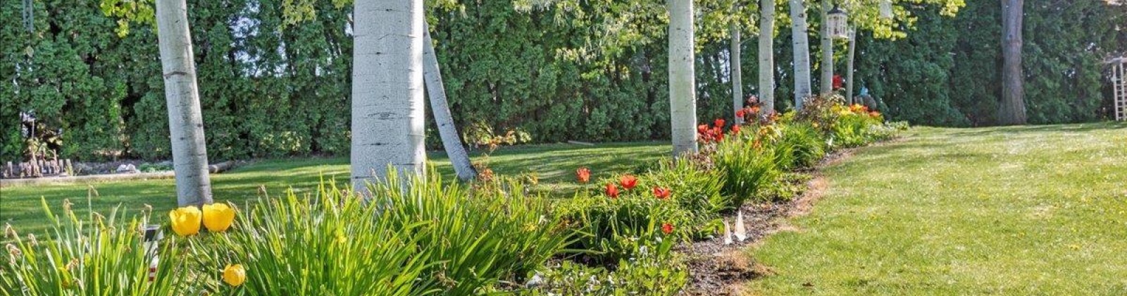 1739 PR NW, Grandview, Washington 98930, 3 Bedrooms Bedrooms, ,2 BathroomsBathrooms,For Sale,1739 PR NW,283370