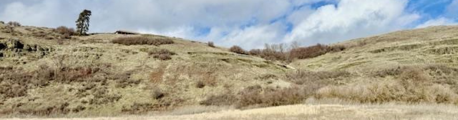 Red Tail Ridge, Colfax, Washington 99111, ,Residential,For Sale,Red Tail Ridge,282458
