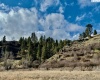 Red Tail Ridge, Colfax, Washington 99111, ,Residential,For Sale,Red Tail Ridge,282458