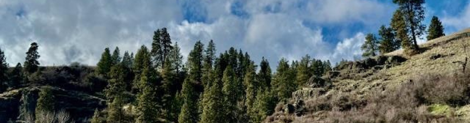 Red Tail Ridge, Colfax, Washington 99111, ,Residential,For Sale,Red Tail Ridge,282458
