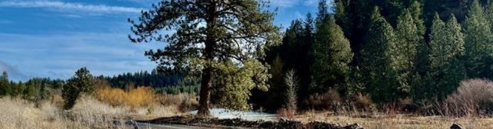 Red Tail Ridge, Colfax, Washington 99111, ,Residential,For Sale,Red Tail Ridge,282458
