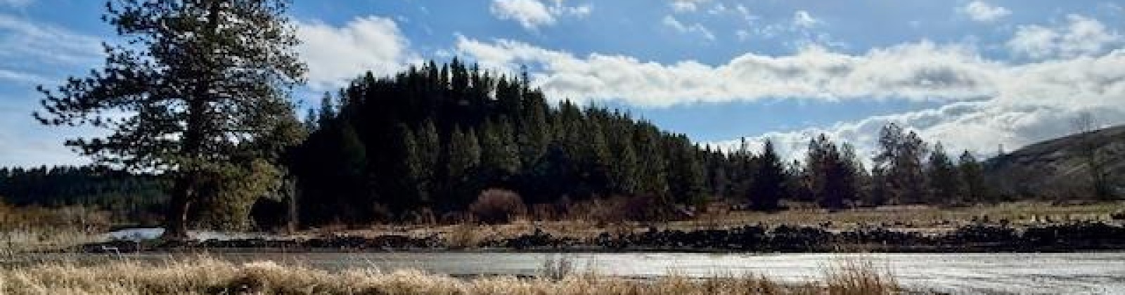 Red Tail Ridge, Colfax, Washington 99111, ,Residential,For Sale,Red Tail Ridge,282458