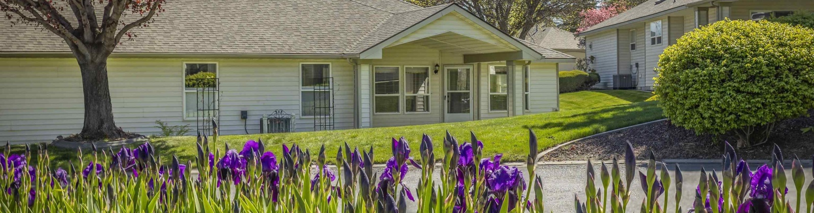 Fisher Ct, Kennewick, Washington 99337, 3 Bedrooms Bedrooms, ,2 BathroomsBathrooms,For Sale,Fisher Ct,283436