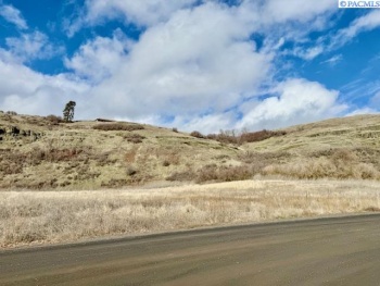 Red Tail Ridge, Colfax, Washington 99111, ,Residential,For Sale,Red Tail Ridge,282459