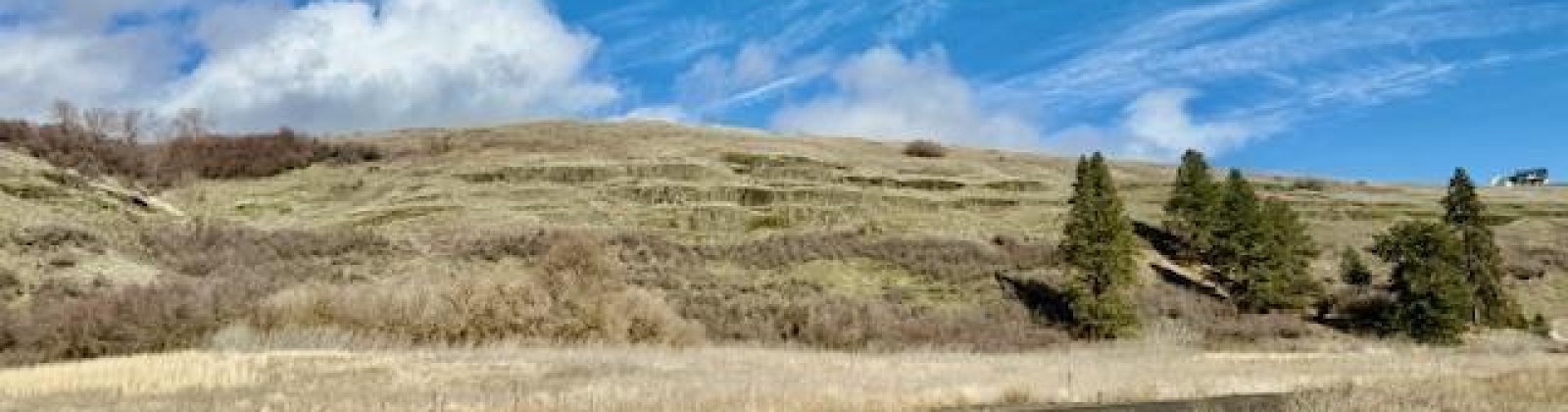 Red Tail Ridge, Colfax, Washington 99111, ,Residential,For Sale,Red Tail Ridge,282459