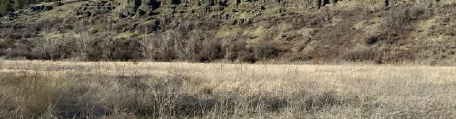 Red Tail Ridge, Colfax, Washington 99111, ,Residential,For Sale,Red Tail Ridge,282459