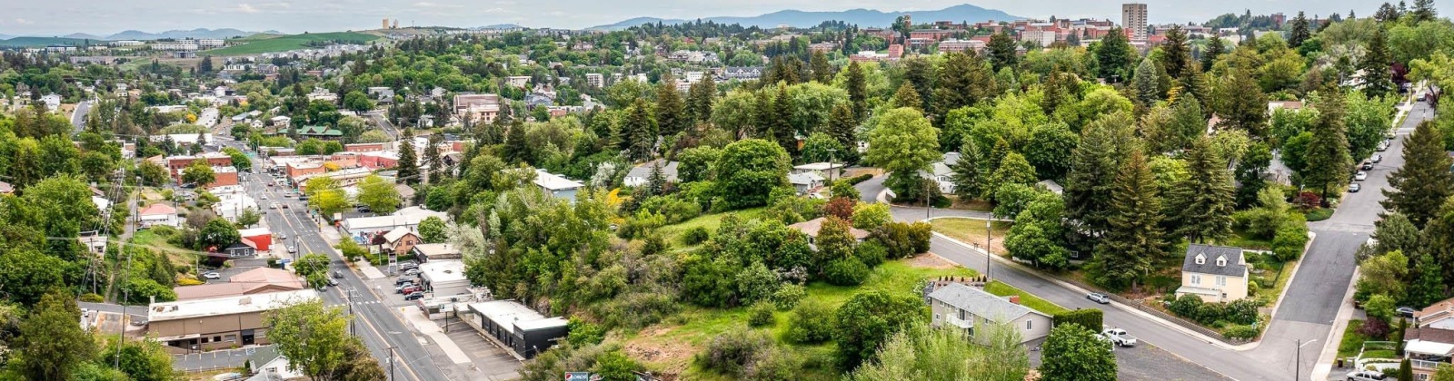 Grand Ave, Pullman, Washington 99163-0000, ,Commercial,For Sale,Grand Ave,284688