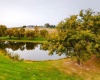 34th Avenue, Kennewick, Washington 99337, 4 Bedrooms Bedrooms, ,4 BathroomsBathrooms,Site Built-owned Lot,For Sale,34th Avenue,282613