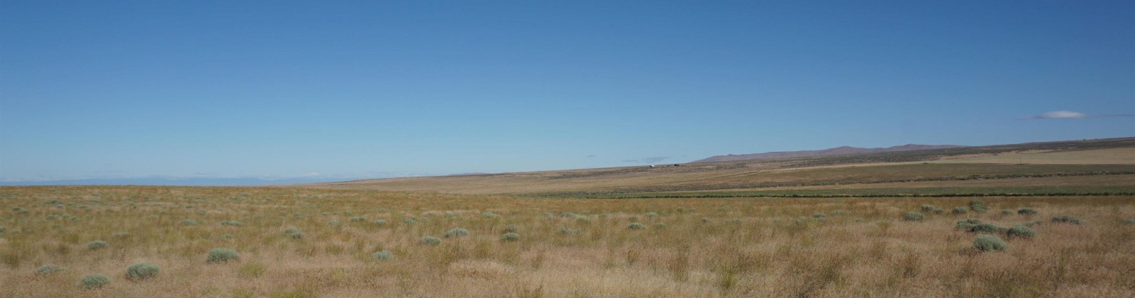Crosby Rd, Prosser, Washington 99350, ,Agricultural,For Sale,Crosby Rd,282542