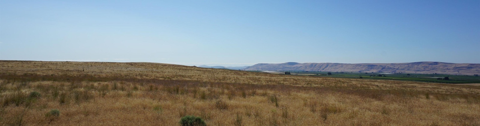 Crosby Rd, Prosser, Washington 99350, ,Agricultural,For Sale,Crosby Rd,282542
