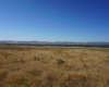Crosby Rd, Prosser, Washington 99350, ,Agricultural,For Sale,Crosby Rd,282542