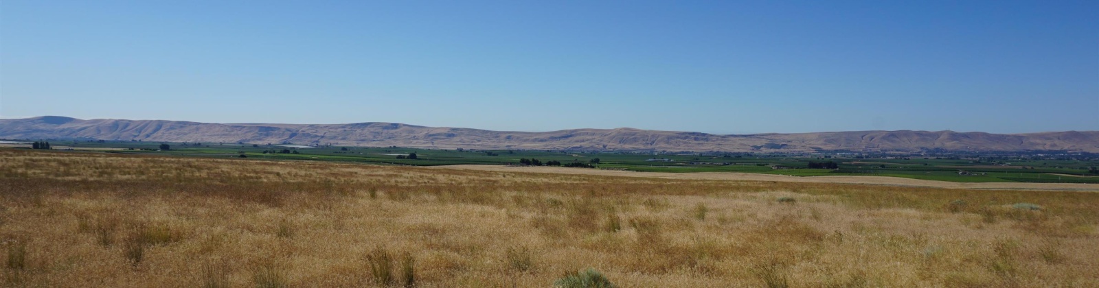 Crosby Rd, Prosser, Washington 99350, ,Agricultural,For Sale,Crosby Rd,282542