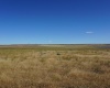 Crosby Rd, Prosser, Washington 99350, ,Agricultural,For Sale,Crosby Rd,282542