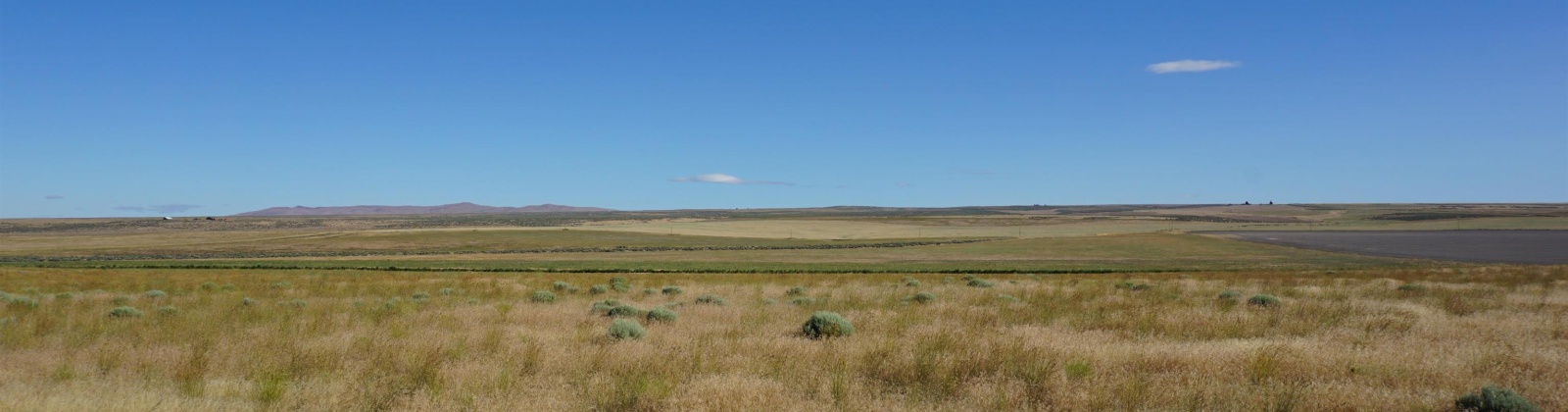 Crosby Rd, Prosser, Washington 99350, ,Agricultural,For Sale,Crosby Rd,282542