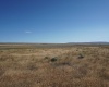 Crosby Rd, Prosser, Washington 99350, ,Agricultural,For Sale,Crosby Rd,282542