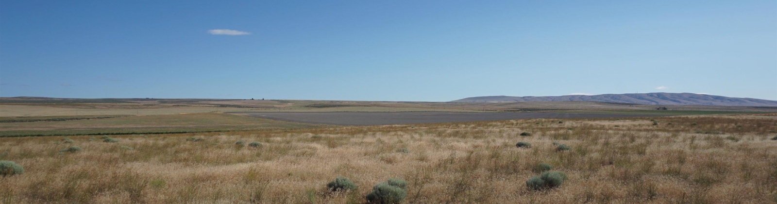 Crosby Rd, Prosser, Washington 99350, ,Agricultural,For Sale,Crosby Rd,282542
