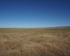 Crosby Rd, Prosser, Washington 99350, ,Agricultural,For Sale,Crosby Rd,282542