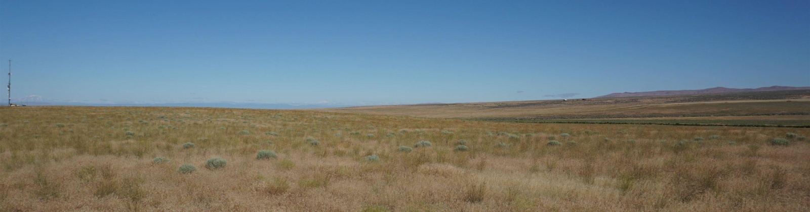 Crosby Rd, Prosser, Washington 99350, ,Agricultural,For Sale,Crosby Rd,282542
